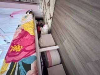Akiky Princess Canopy Bed Curtains Bed Canopy Curtains with Lights for Queen Size Bed Drapes,8 Panels Canopies with Lights,Room Décor (Full/Queen, White) customer photo 2