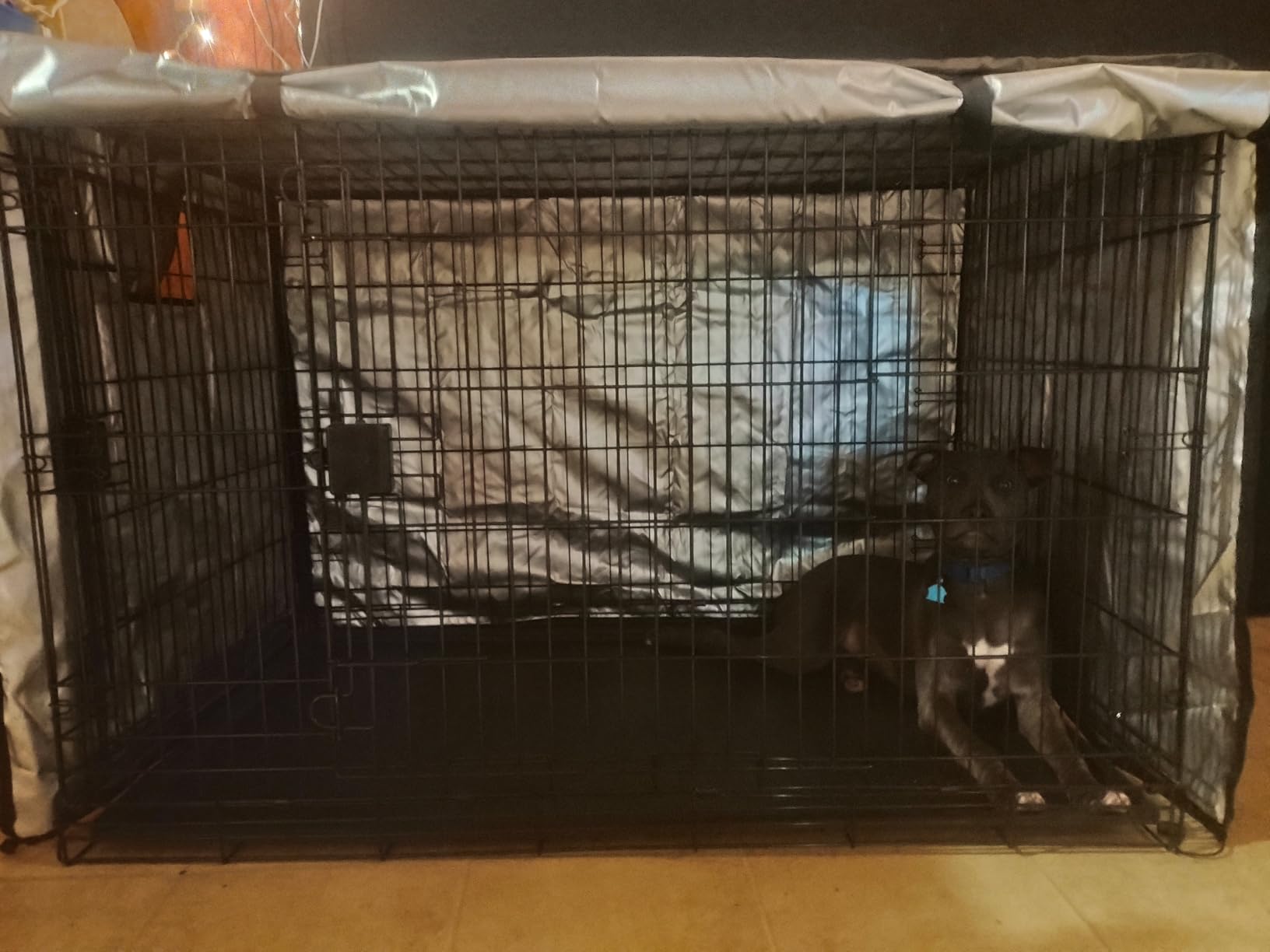 Amazon Basics Portable Metal Wire Dog Crate for Large Dogs, Double Door with Removable Tray, Divider Panel, Easy to Assemble, 48