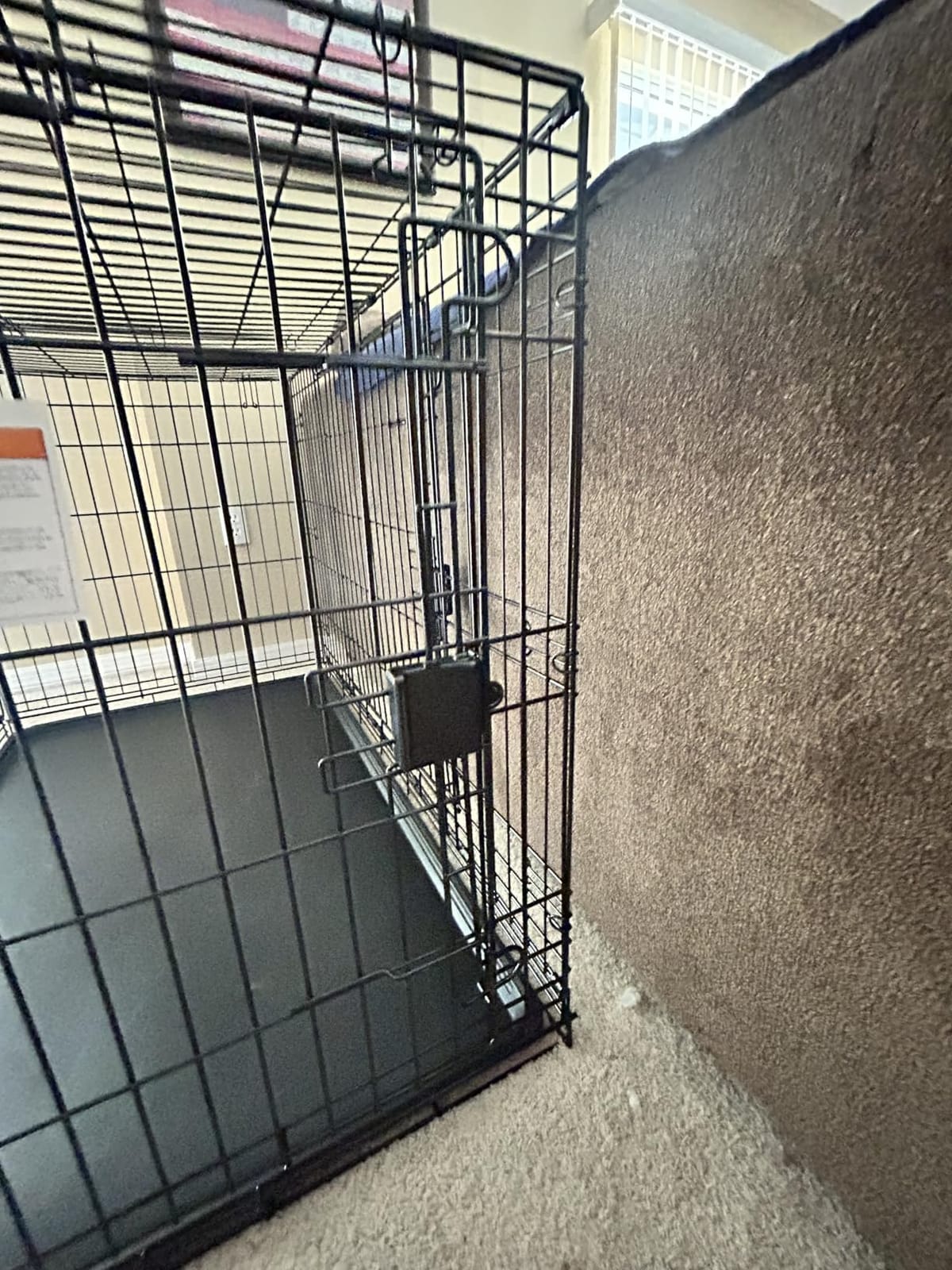 Amazon Basics Portable Metal Wire Dog Crate for Large Dogs, Double Door with Removable Tray, Divider Panel, Easy to Assemble, 48