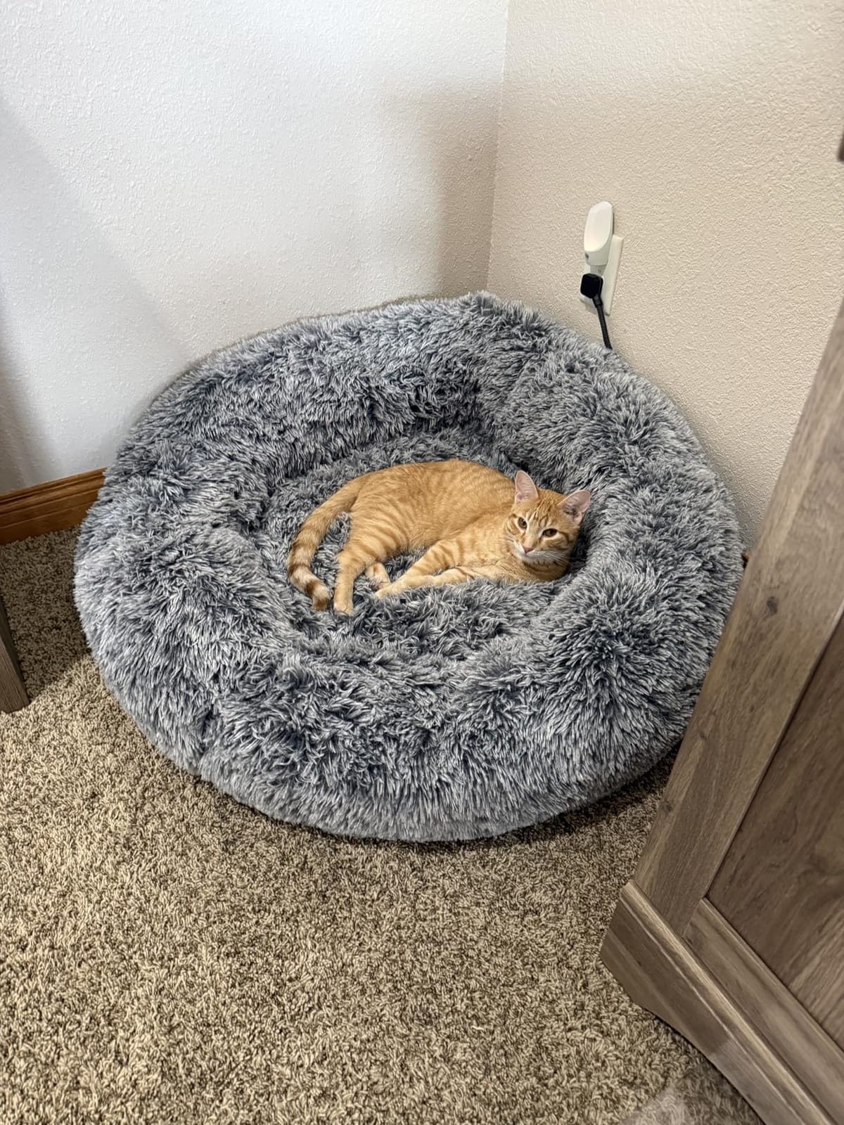 Bedfolks Calming Fluffy Donut Dog Bed for Large Dogs,Dark Grey, 36
