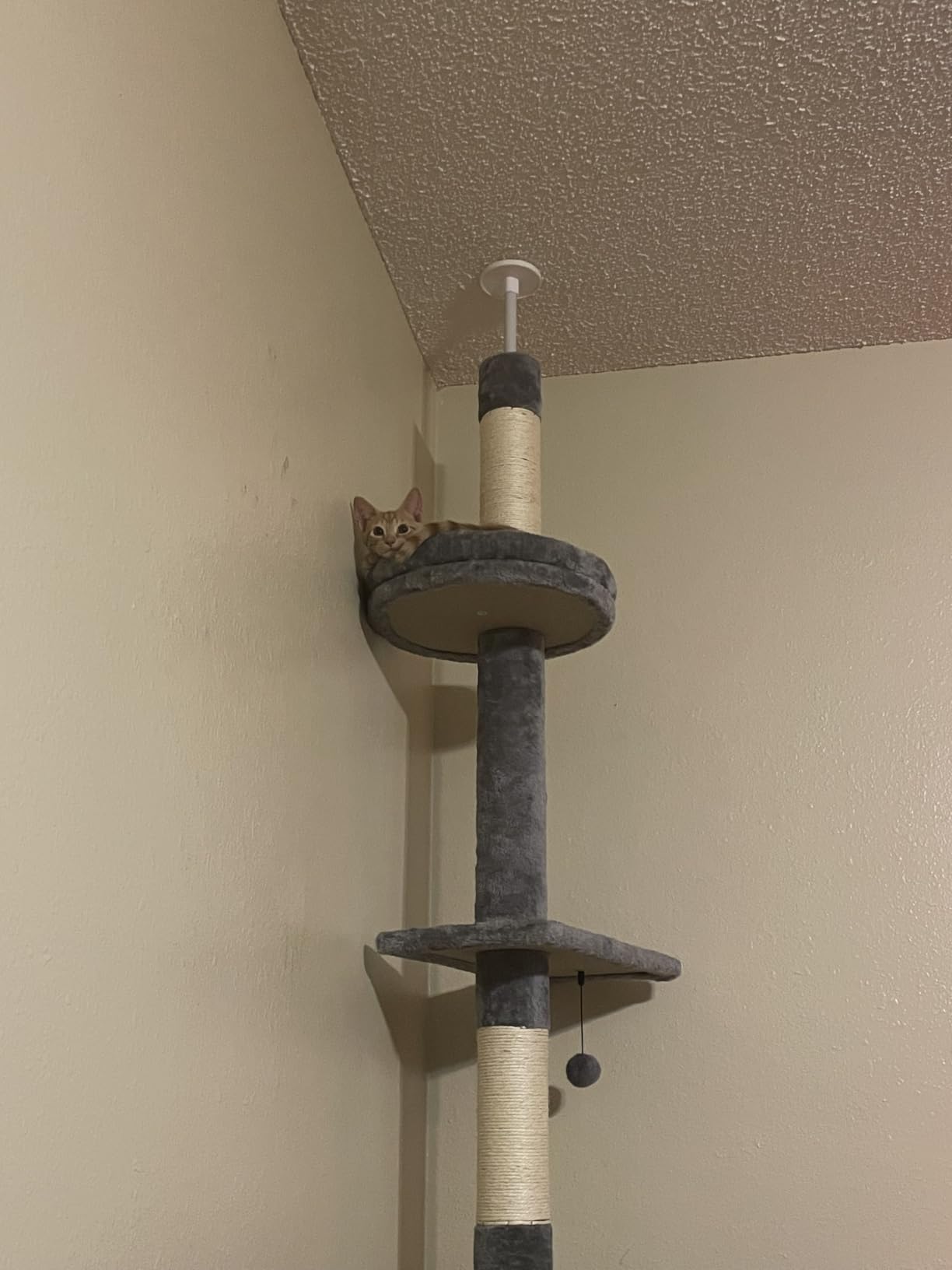 PETEPELA 5-Tier Floor to Ceiling Cat Tree, 95-107In Tall Cat Tower Beige customer photo 1
