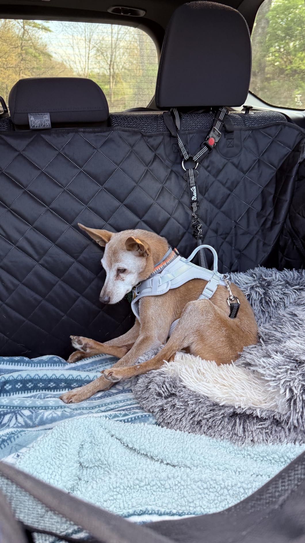 SlowTon Dog Seat Belt for Car, 2 Pack Dog Car Harness Seatbelt with Bungee customer photo 1