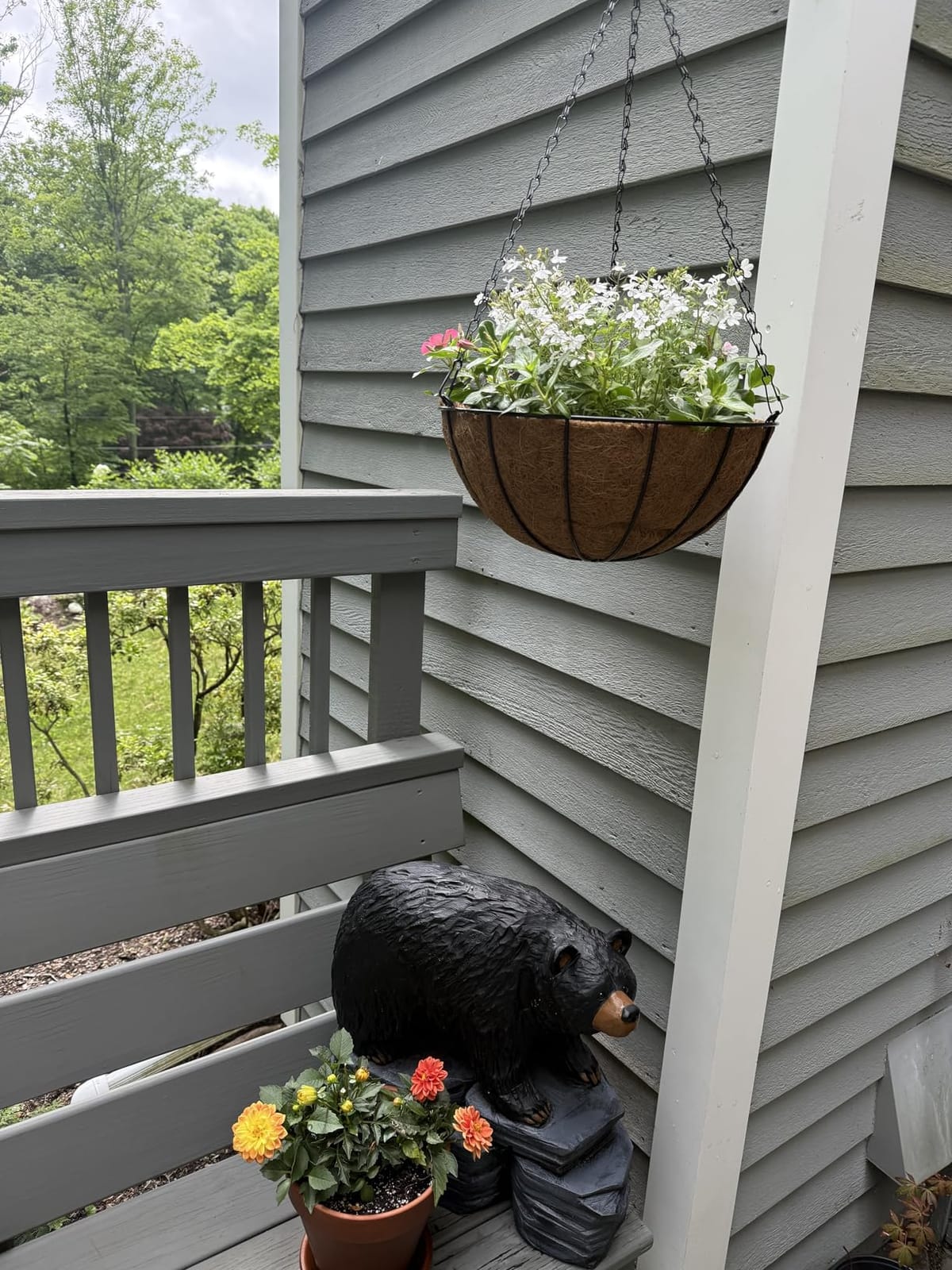 ZeeDix 2 Pack 14 Inch Hanging Baskets for Plants Outdoor, Metal Wire Round Planters with Coco Liner, Hanging Flower Baskets for Home Garden Porch Balcony Railings Decor customer photo 2