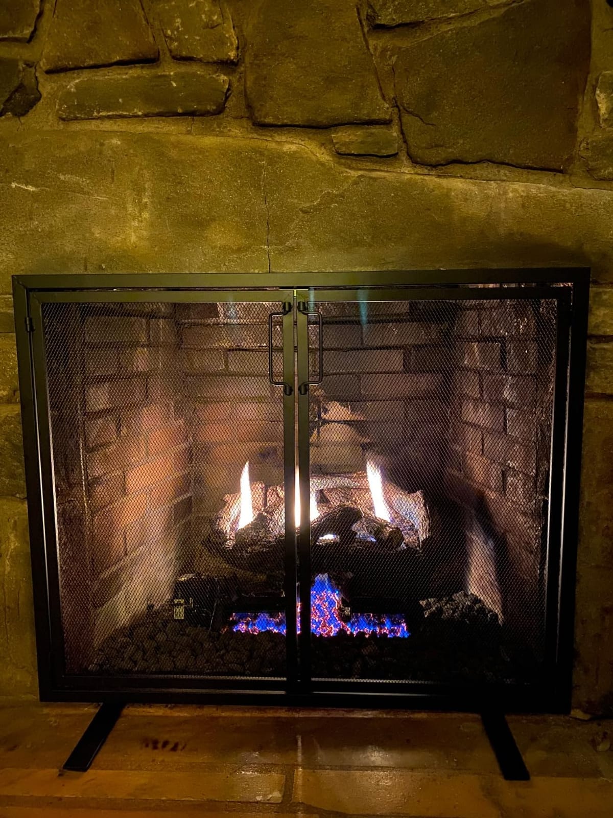 Best Choice Products 38.5x31in 2-Door Fireplace Screen, Handcrafted Wrought Iron Decorative Mesh Geometric Fire Spark Guard w/Magnetic Panels - Black customer photo 1