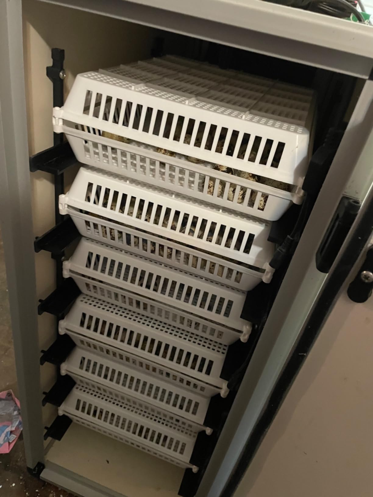 Hatching Time Incubators for Hatching Eggs, CT180SH Egg Setter & Hatcher customer photo 1