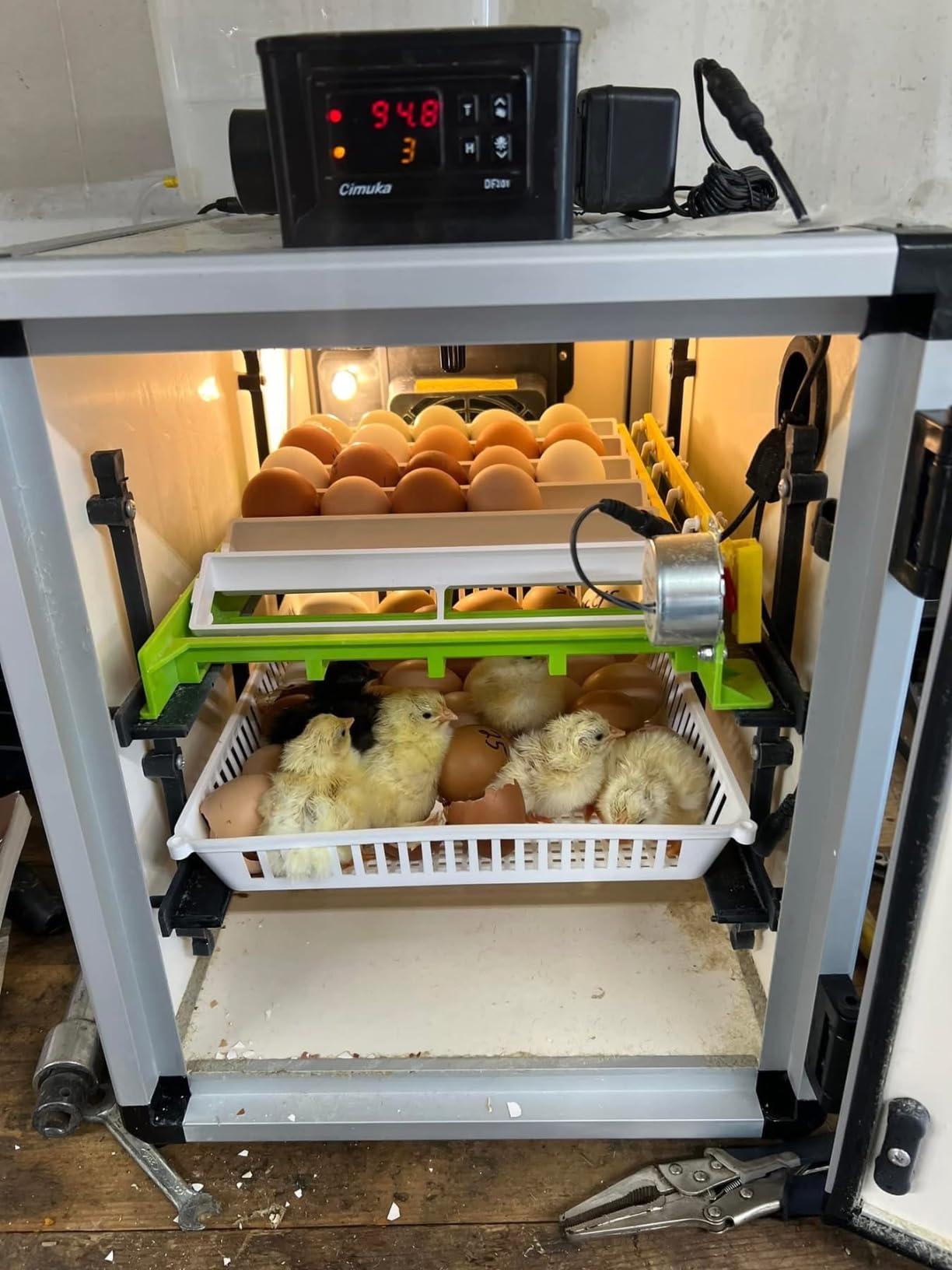 Hatching Time Incubators for Hatching Eggs, CT180SH Egg Setter & Hatcher customer photo 2