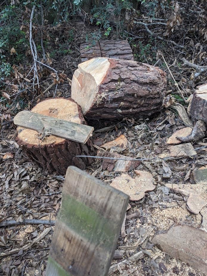 EGO POWER+ Chain Saw, 16” Battery Powered Chainsaw, Electric Cordless, Includes 56V 4.0Ah Battery and Charger – CS1613 customer photo 2