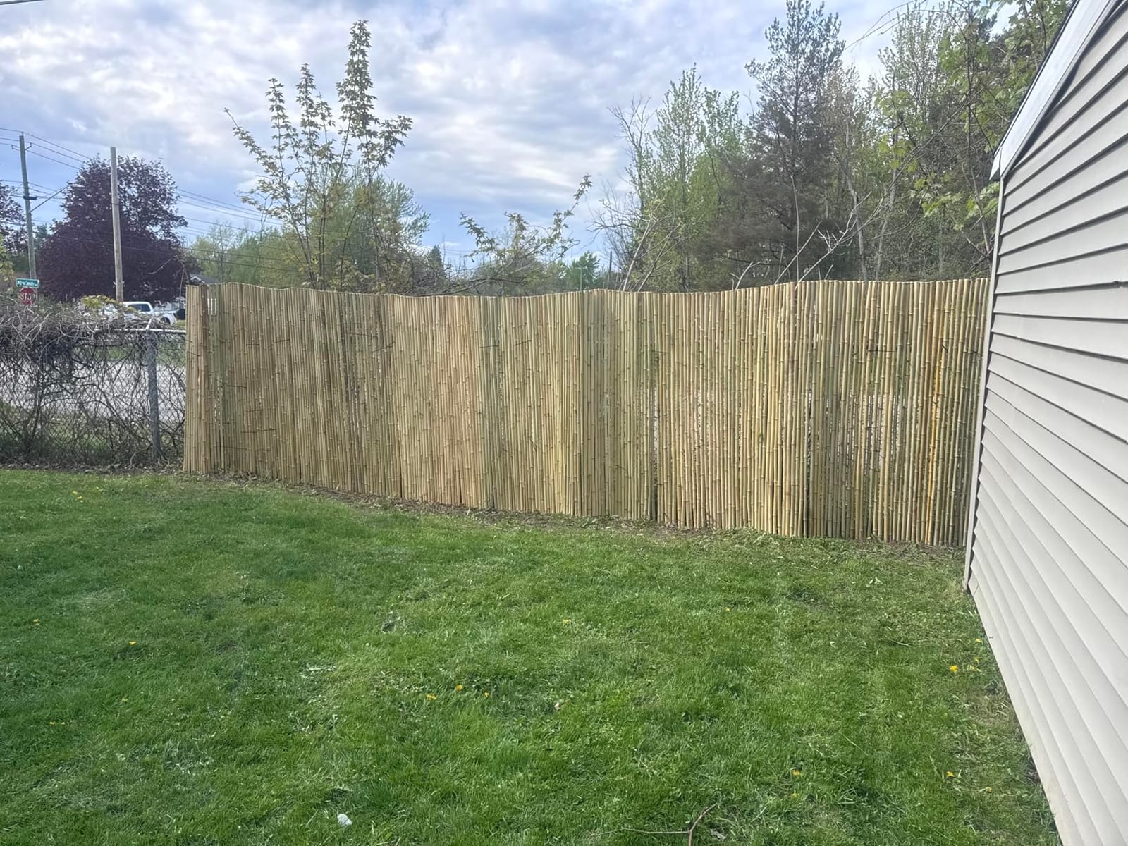 FOREVER BAMBOO Natural Bamboo Fencing Decorative Rolled Fence Panel 0.75 in D x 6 ft H x 8 ft L customer photo 2