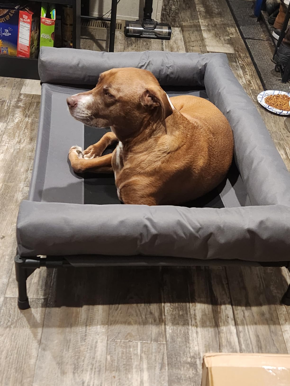 K&H Outdoor Elevated Dog Bed, Bolster Pet Cot, Medium 32x25in, Charcoal customer photo 1