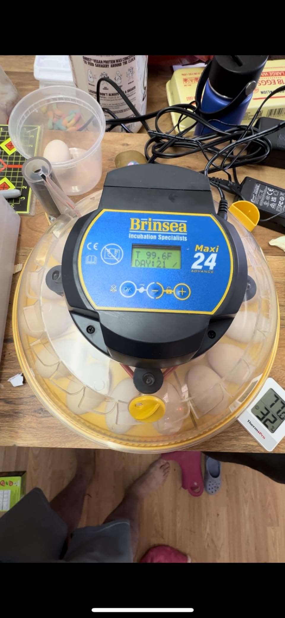 Brinsea Maxi 24 Advance Incubator with auto Turner for Hatching 24 Eggs customer photo 1