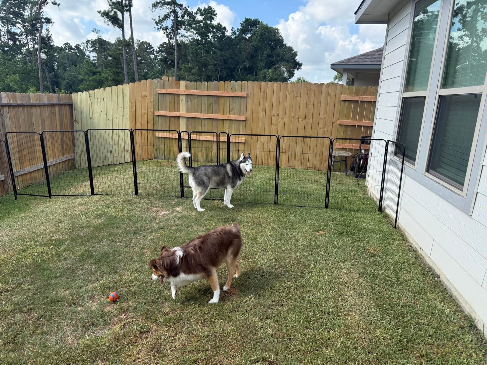 FXW No Dig Garden Fence, Outdoor for Yard, 40in(H) x 36.4ft(L), 16 Panels customer photo 1