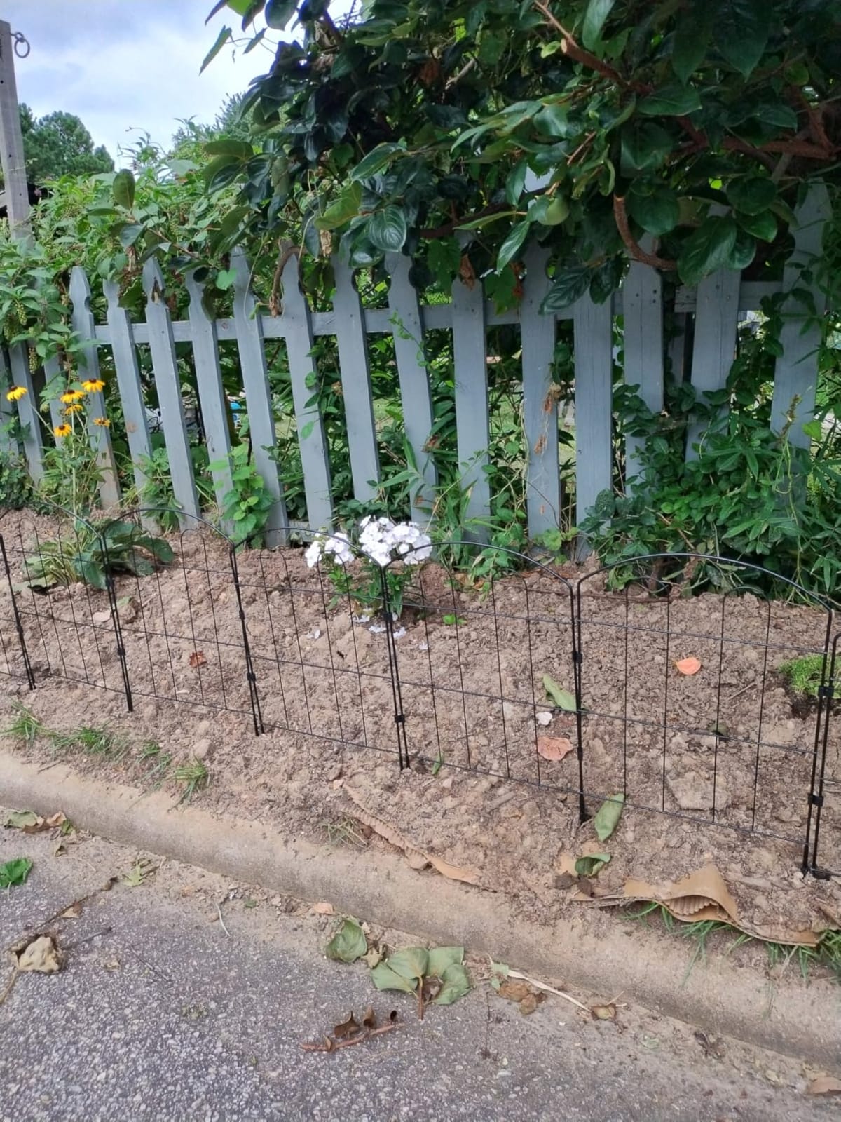 Decorative Garden Fence 24in x 30ft, Flower Bed Fencing Panels customer photo 2