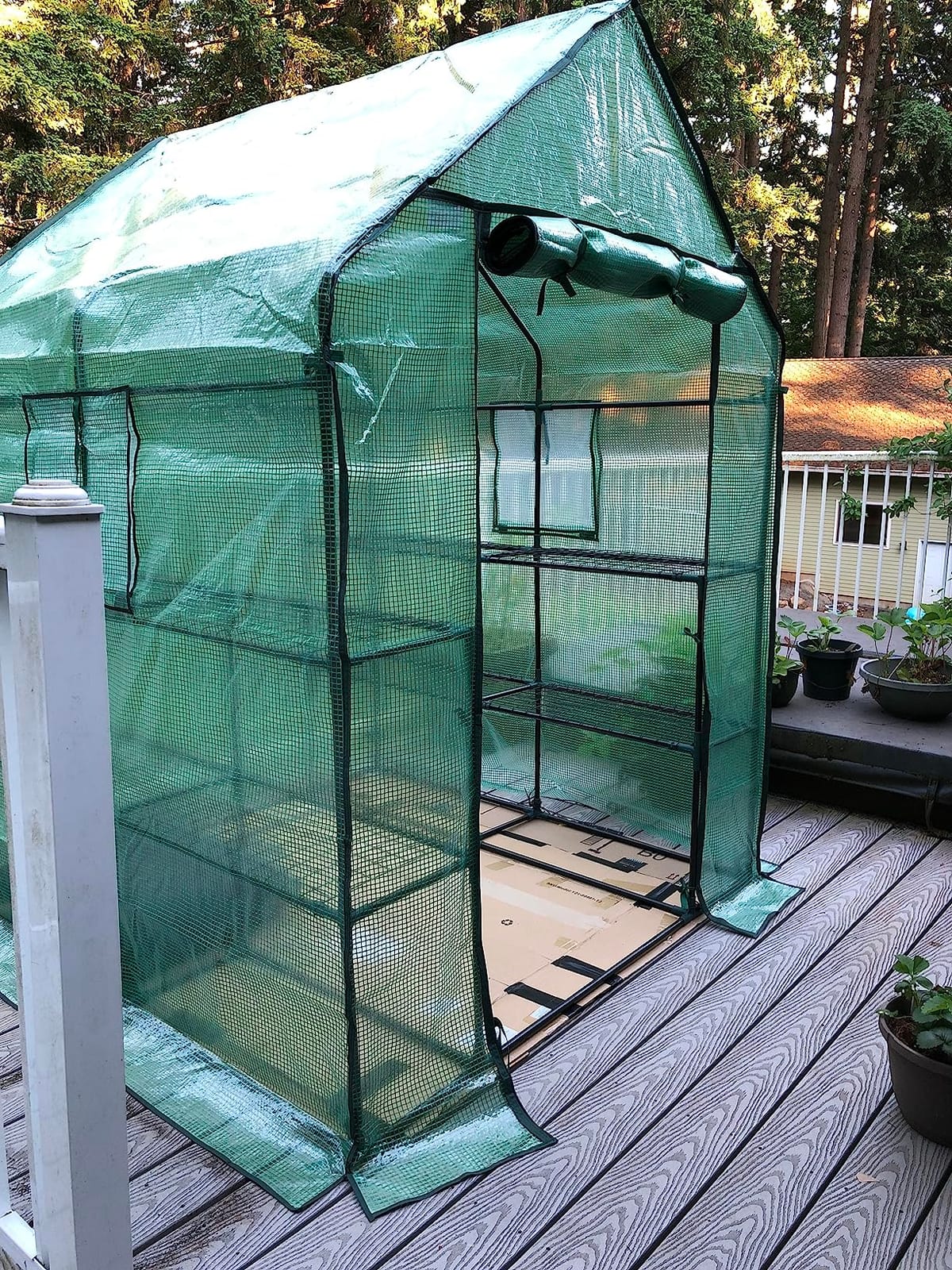 Greenhouse for Outdoors with Screen Windows, Ohuhu Upgraded 4 Tiers 11 Shelves Walk-in Greenhouses with Durable PE Cover, Outside Garden Plastic Green House with Ground Pegs & Ropes for Stability customer photo 1