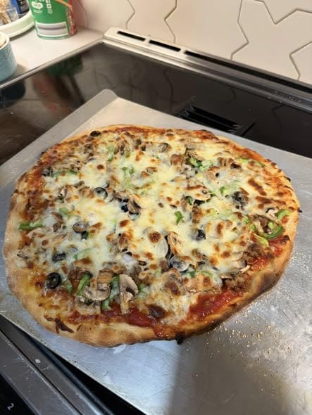 HALO Versa 16 Pizza Oven | 16” Rotating Stone, Patented Dual Burner System, 5-Minute Pizzas, Easy Clean | Propane Powered | HZ-1004-ANA customer photo 1