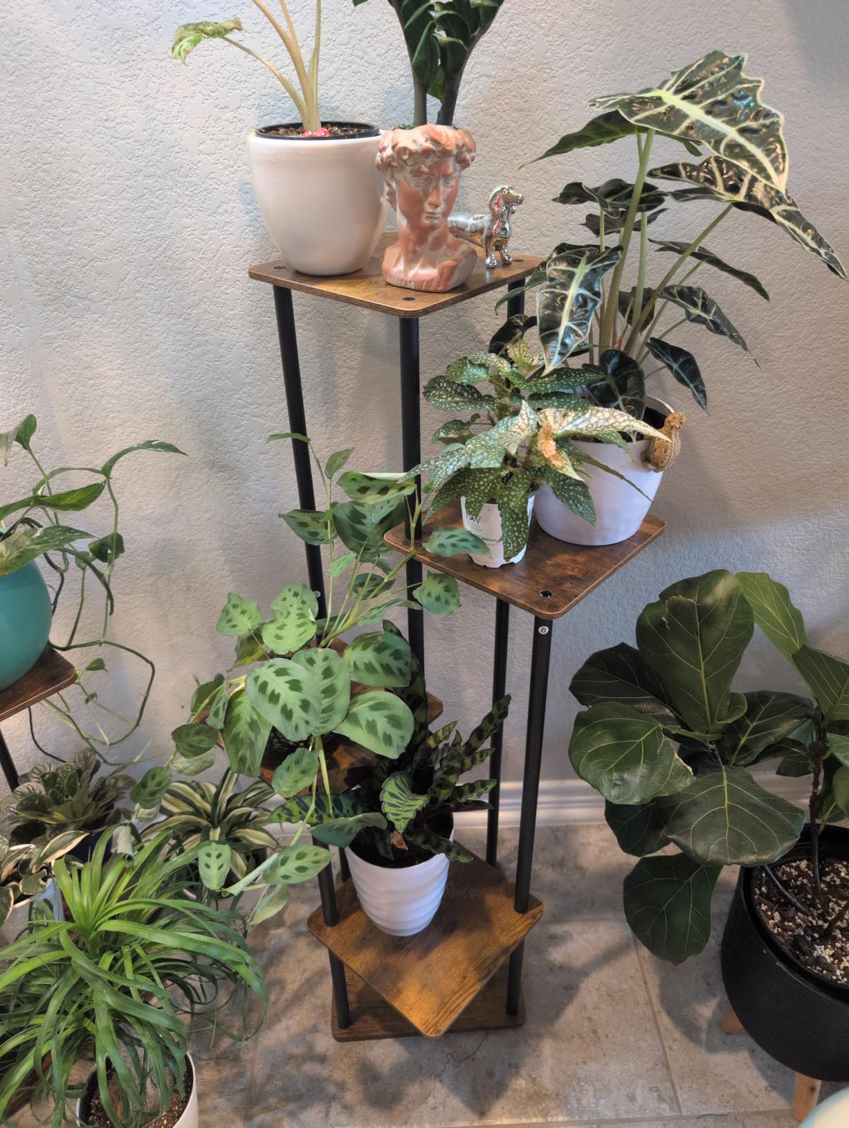 AZERPIAN 5 Tier Tall Plant Stand Indoor Corner Tiered Shelf Metal MDF Board | Sturdy Metal Frame,Space-saving Tiered Design Display Multiple Plants,Modern Style for Home,Balcony,Office Black+Rustic Brown customer photo 1