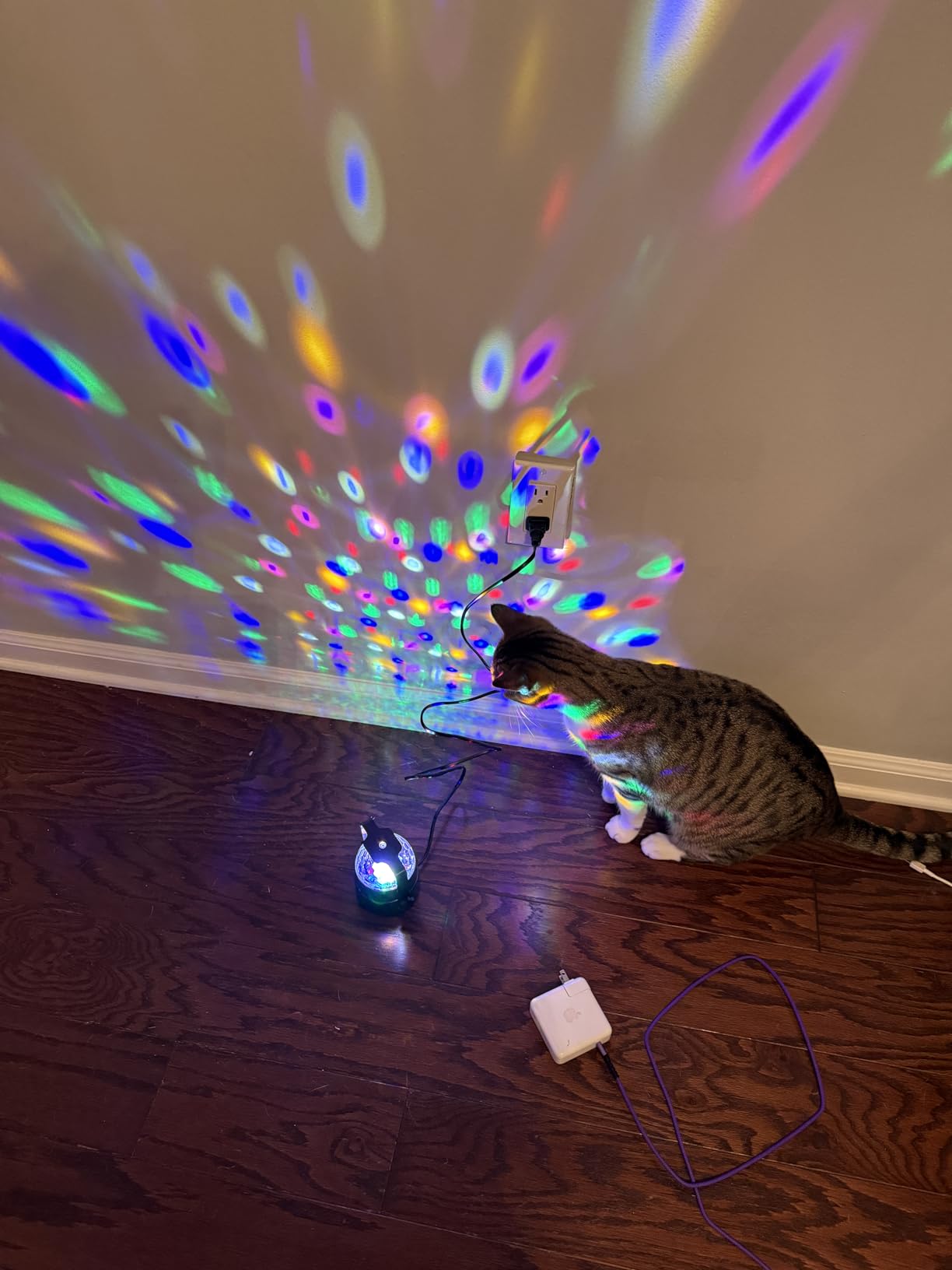 NEQUARE Disco Ball DJ Party Lights Sound Activated with Remote Control Strobe Lamp 7 Modes Stage Light for Home Room Dance Parties Karaoke Halloween Christmas Birthday Decorations[3-Pack] customer photo 2