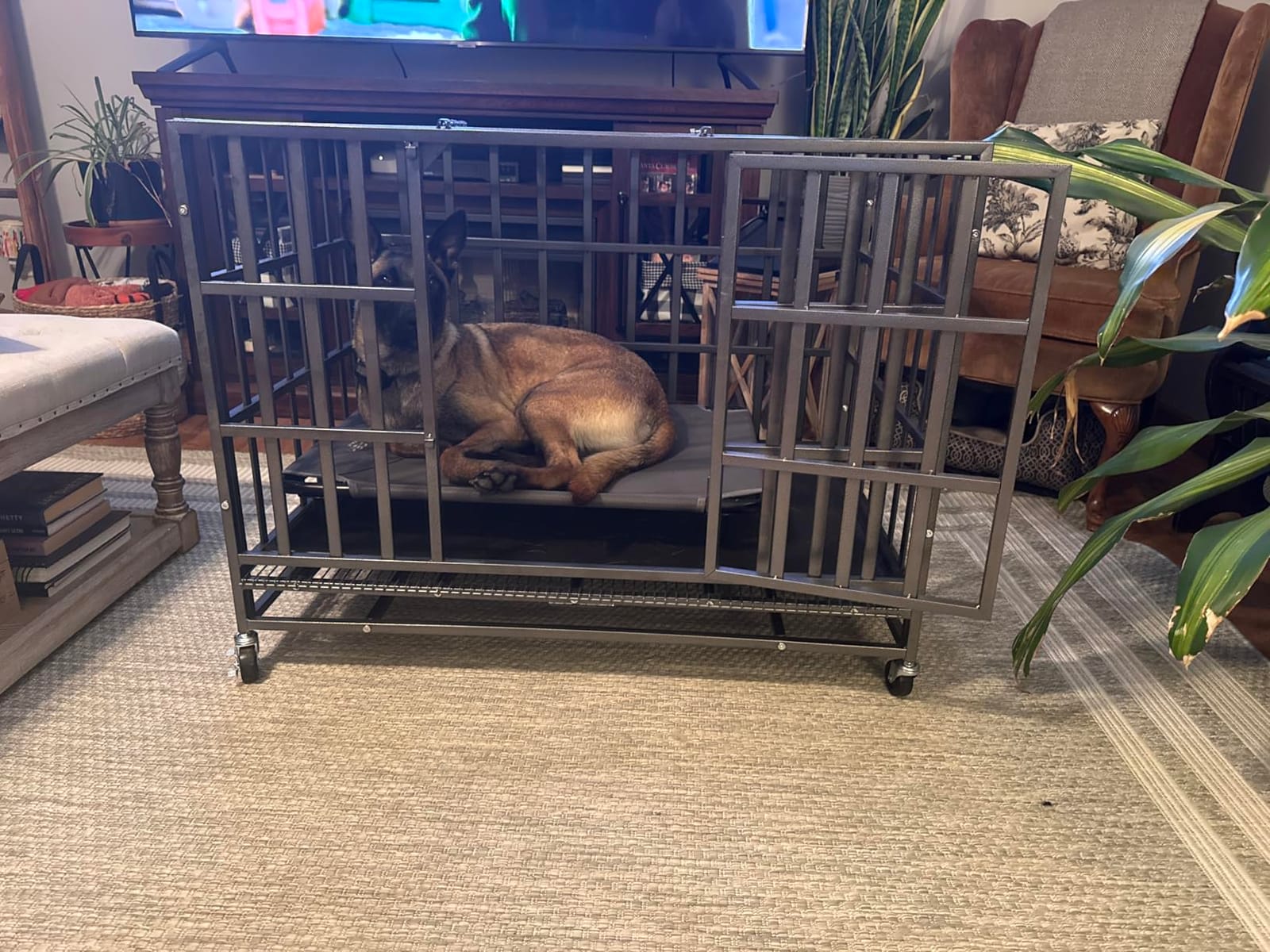 Hiwokk 48 Inch Heavy Duty Dog Crate, Indestructible Kennel for Large Dogs customer photo 1