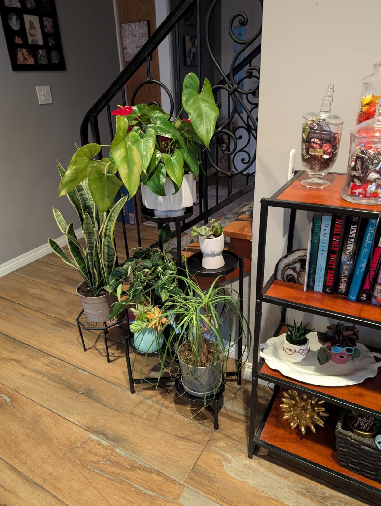 iDavosic.ly Plant Stand Indoor Outdoor, 5 Tier Metal Corner Shelf, Black customer photo 2