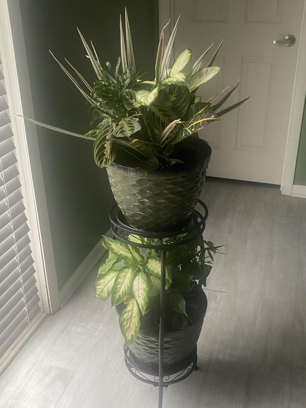 Kavlium Plant Stand Indoor Outdoor, Tall Black Metal, 2 Tier 27.1 Inch | Rustproof Metal, Stable 3-Leg Base, Heavy Duty 100 lb Capacity, Multiple Plant Rack Holder, Indoor Outdoor Decor customer photo 1