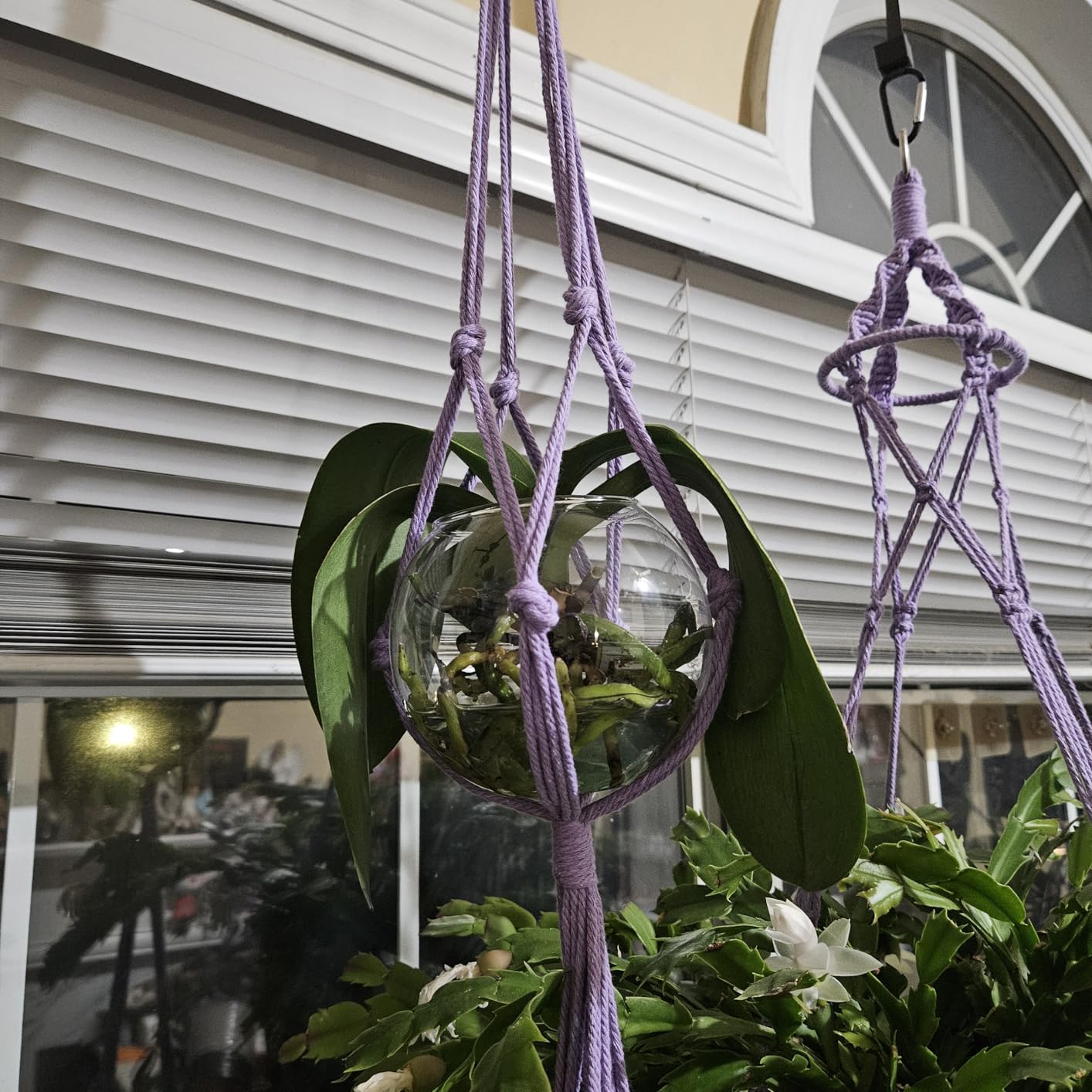SFENNGPET Macrame Plant Hangers, 6Pack Hanging Planters for Indoor Plants customer photo 1