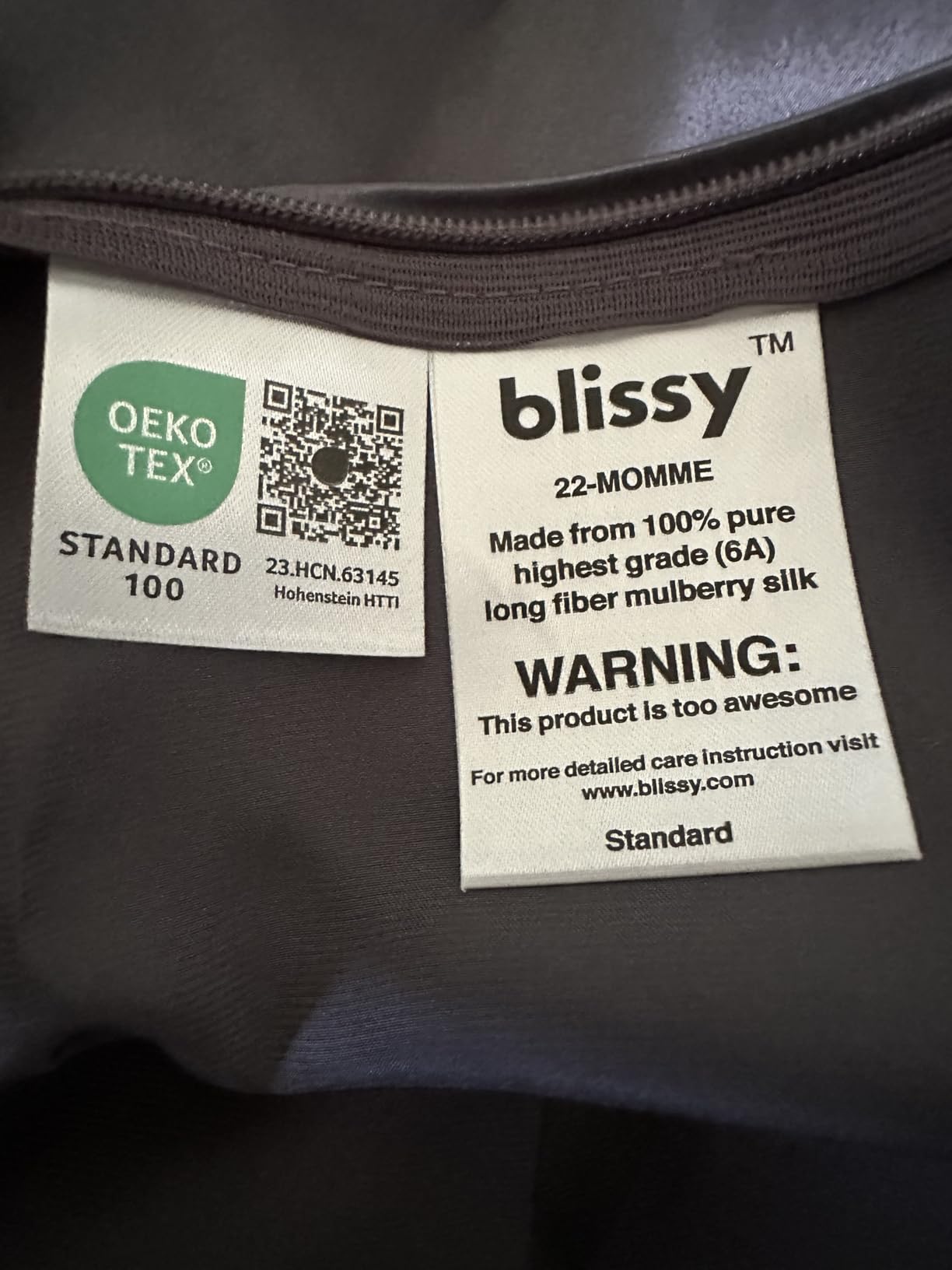 Blissy Silk Pillowcase - 100% Pure Mulberry Silk - 22 Momme 6A High-Grade Fibers - Silk Pillow Cover for Hair & Skin - Regular, Queen & King (Blissy White, Standard) customer photo 2