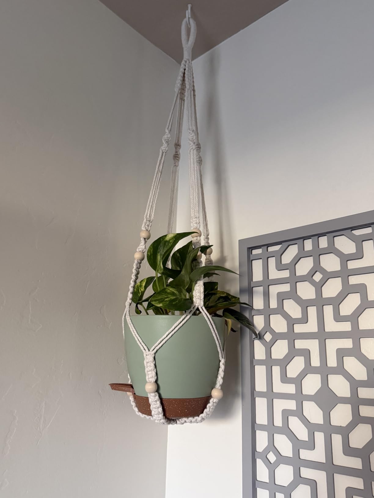 Bouqlife 3 Set Self Watering Hanging Planters for Indoor Plants customer photo 1