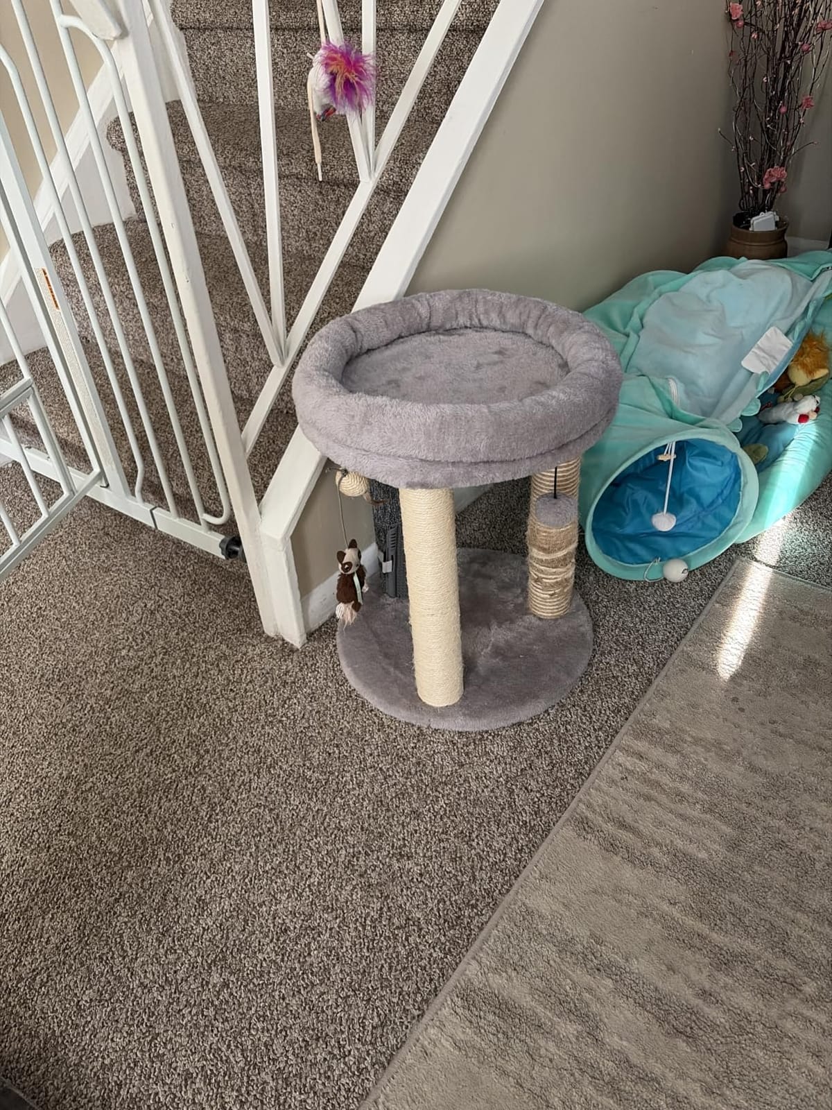 MECOOL 4in1 Small Cat Tree,Scratching Post with Tower Soft Bed, Sisal Carpet Jute Posts with Three Hanging Ball Toys and Massage Brush for Indoor Cats and Kittens customer photo 1