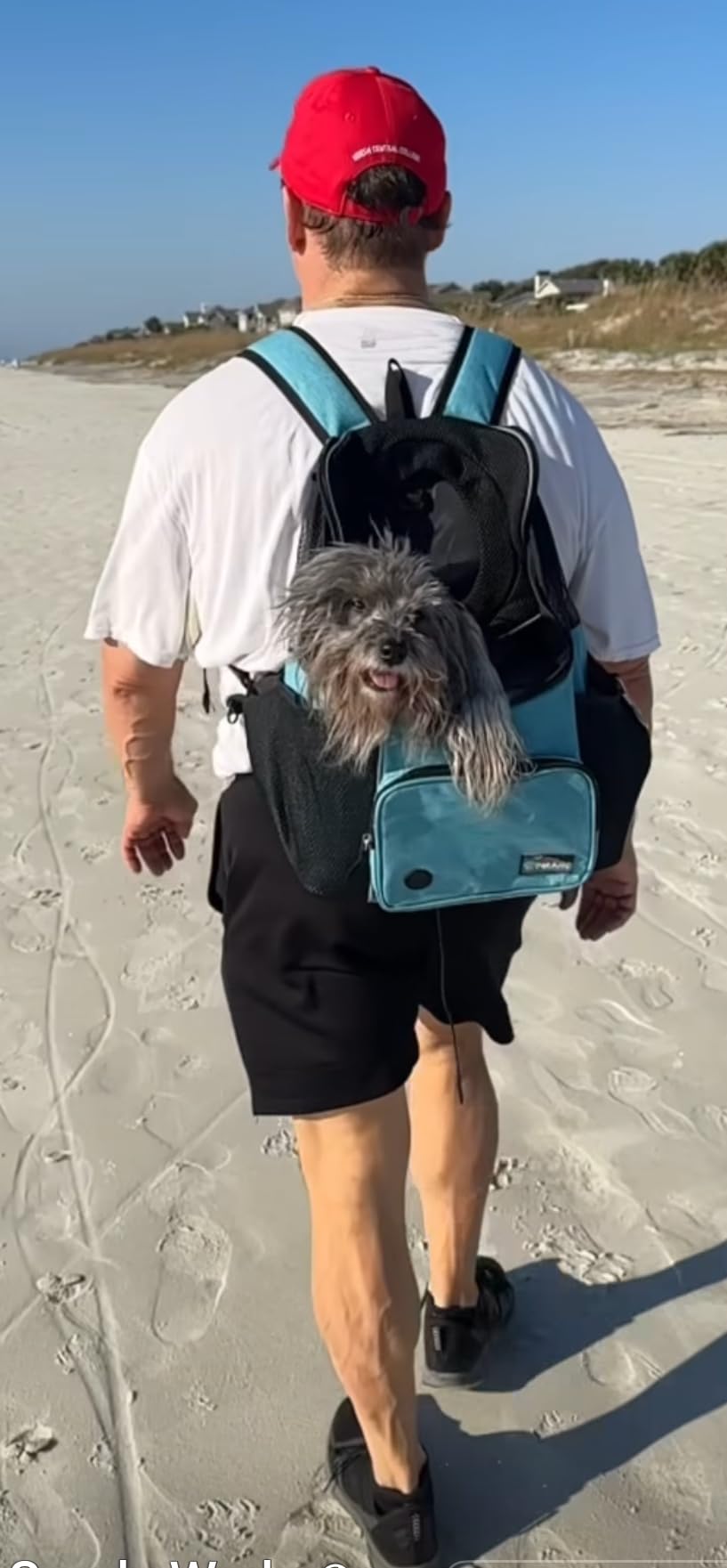 PetAmi Adjustable Dog & Cat Chest Carrier Backpack, Ventilated for Hiking, Camping & Travel, Max 10 lbs, Black customer photo 2
