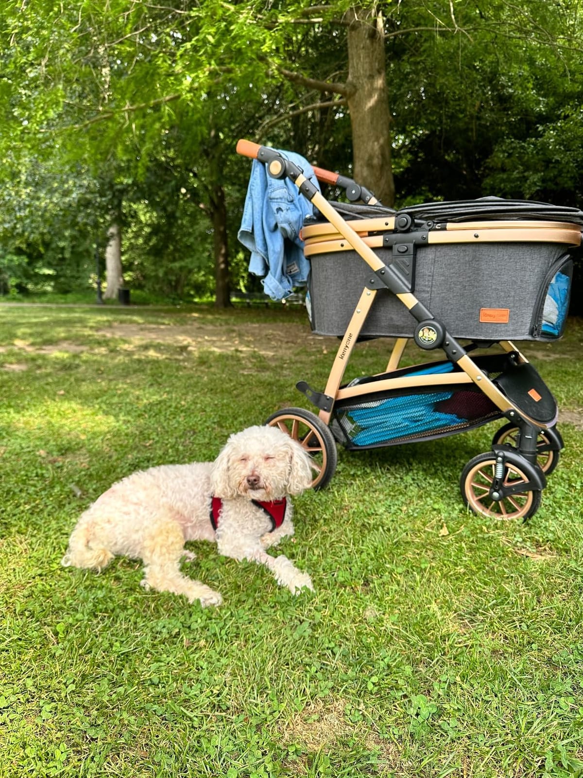 Kenyone Pet Stroller 3 in 1 for Medium Small Size Dogs Luxury Large Cat Stroller Detachable Carrier for Puppy, Kitty, Doggie (C510L Khaki) customer photo 1