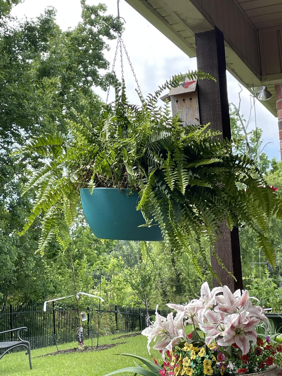 WOUSIWER 13 inch 2 Pack Large Hanging Planters for Indoor Outdoor Plants with Drainage Holes and Chain, Round Hanging Flower Pots for Garden Home Porch Decor, Myrtle Green customer photo 2