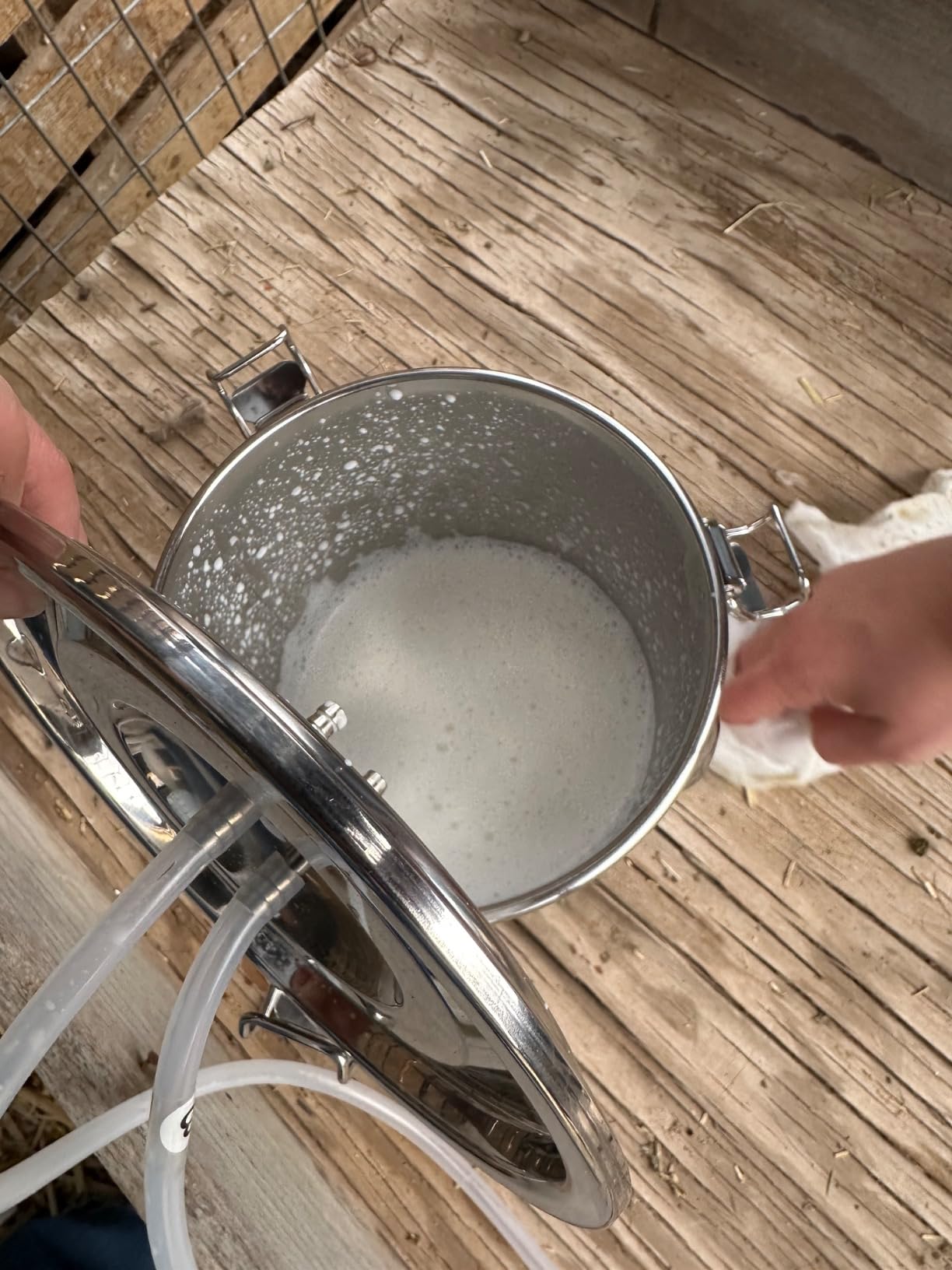 2026 Upgrade 3L Goat Milking Machine, Continuously Adjustable Suction Pulsation Vacuum Electric Milker, Portable Livstock Milking Machine with Stainless Bucket(US Plug)(3L Goat) customer photo 1