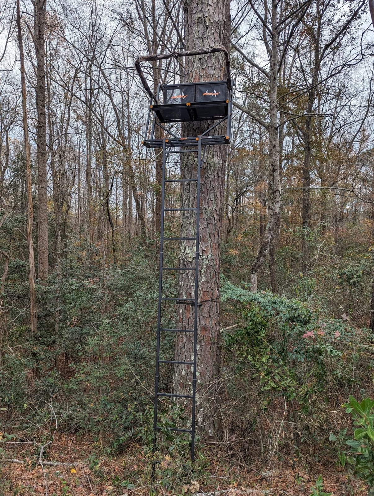 Muddy Maxim 2-Man Ladderstand, Black customer photo 1