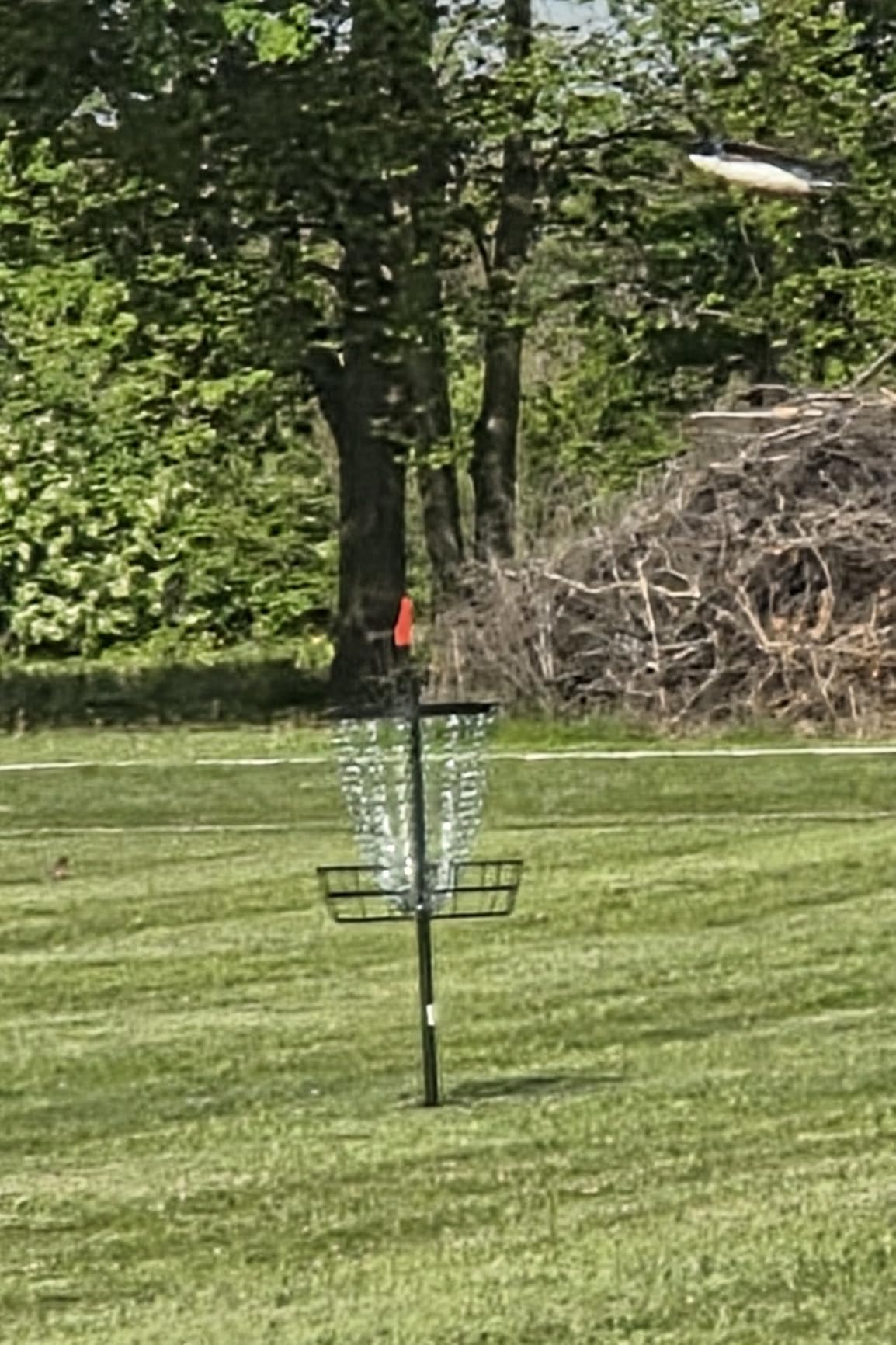 Disc Golf Basket 24/12 Chain LED Night & Adjustable Height Options customer photo 2