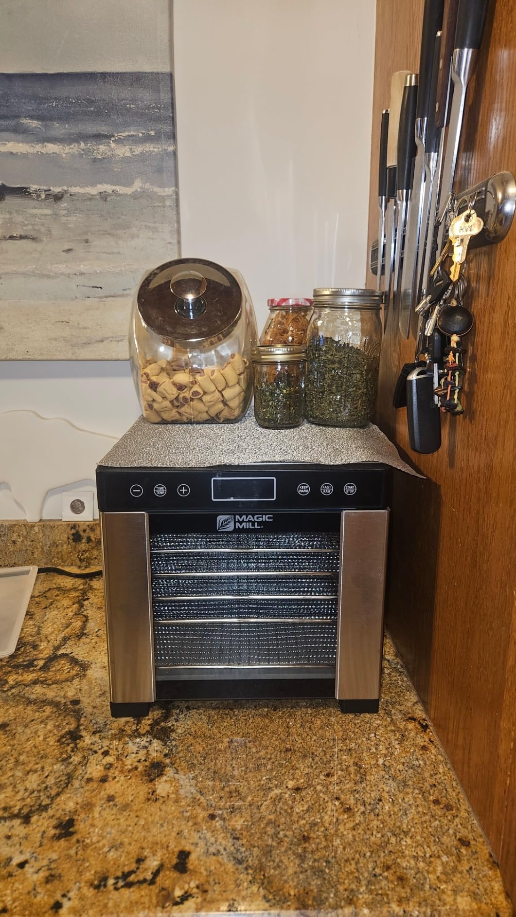Magic Mill Pro Food Dehydrator Machine | Powerful 600W Rear Fan Even-Drying System | 7 Full-Size Stainless Steel Trays | 95°-176° Temperature Control, 48H Timer, Keep Warm + Auto Shutoff | ETL Listed customer photo 2