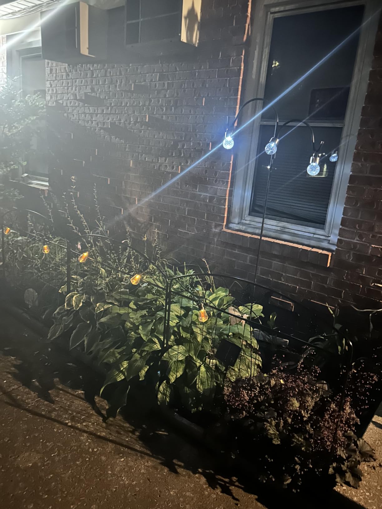 GIGALUMI Solar Hanging Lights Outside Solar Christmas Decoration Light 12Pc customer photo 2