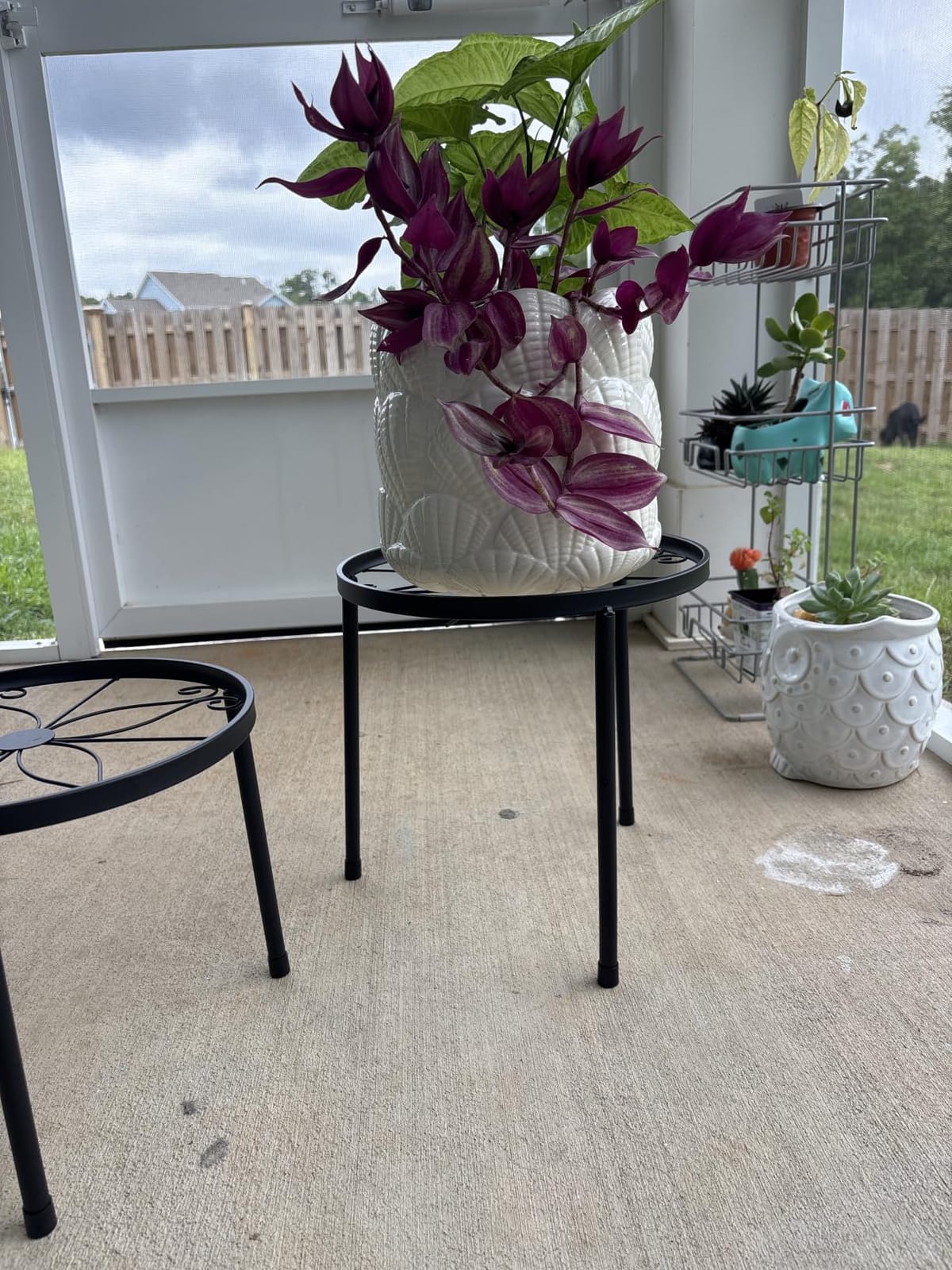 Linpla 5-Pack Decent Metal Plant Stands, Heavy Duty Flower Pot Stands for Multiple Plant, Anti-Rust Iron Plant Pot Shelf, Decoration Racks for Home Indoor and Outdoor (5 Pack Black) customer photo 2