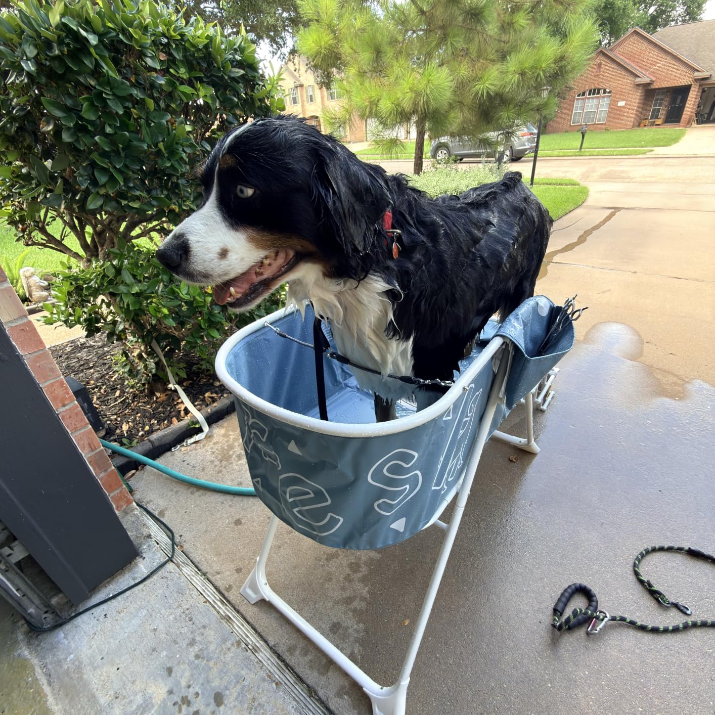 Furesh Foldable Dog Washing Station for Large Dogs with Stairs customer photo 1