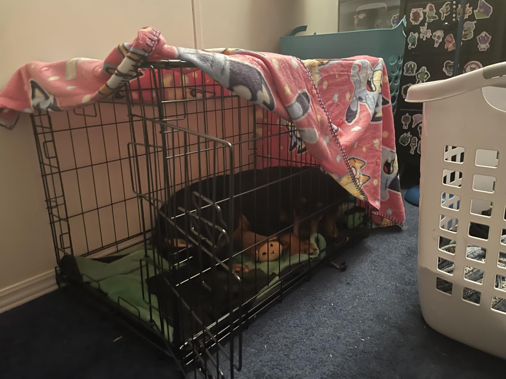 CAPHAUS Foldable Dog Crate Wire Metal Kennel w/Leak-Proof Pan & Protecting Feet & Divider Panel, Small, Medium & Large Indoor Cage, 48” w/Single or Double Doors customer photo 2