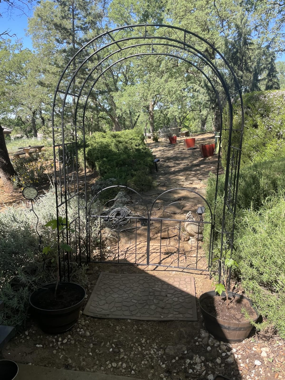84in High Metal Garden Arbor with Gate, Heavy Duty Wide Garden Arch, Metal Arch Trellis with Gate for Climbing Plant, Wedding, Outdoor Patio Decor, Black(84