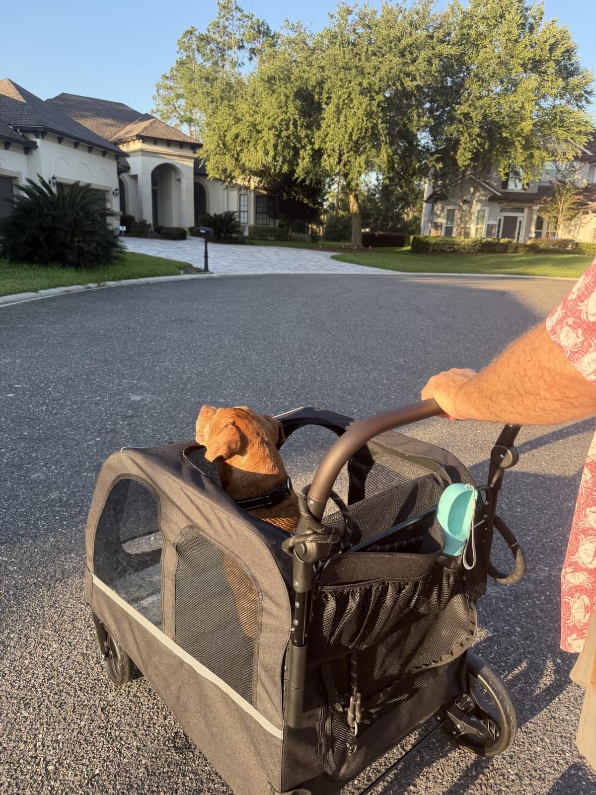 Saudism Dog Stroller for Large & Medium Dogs, Extra Large Pet Stroller, Dog Wagon for 2 Dogs, Foldable Design, Adjustable Handle, with Pocket, Up to 130 lbs customer photo 2