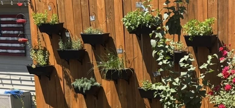 Window Box Planter,10Pack Plastic Vegetable Flower Planters Boxes | 17 Inches Rectangular Flower Pots with Saucers for Indoor Outdoor Garden, Patio, Home Decor (Black) customer photo 1