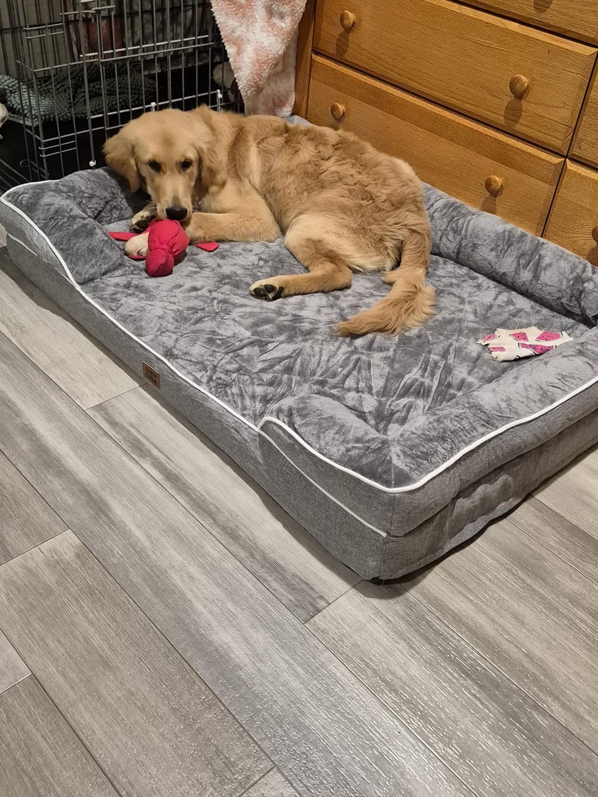 EHEYCIGA Orthopedic Dog Beds for Extra Large Dogs, Waterproof Memory Foam XL Dog Bed with Sides, Non-Slip Bottom and Egg-Crate Foam Big Pet Couch Bed with Washable Removable Cover, Camel | Non-Slip Bottom and Egg-Crate Memory Foam Big Dog Couch Bed with Washable Removable Cover, Camel, 44Inch customer photo 1
