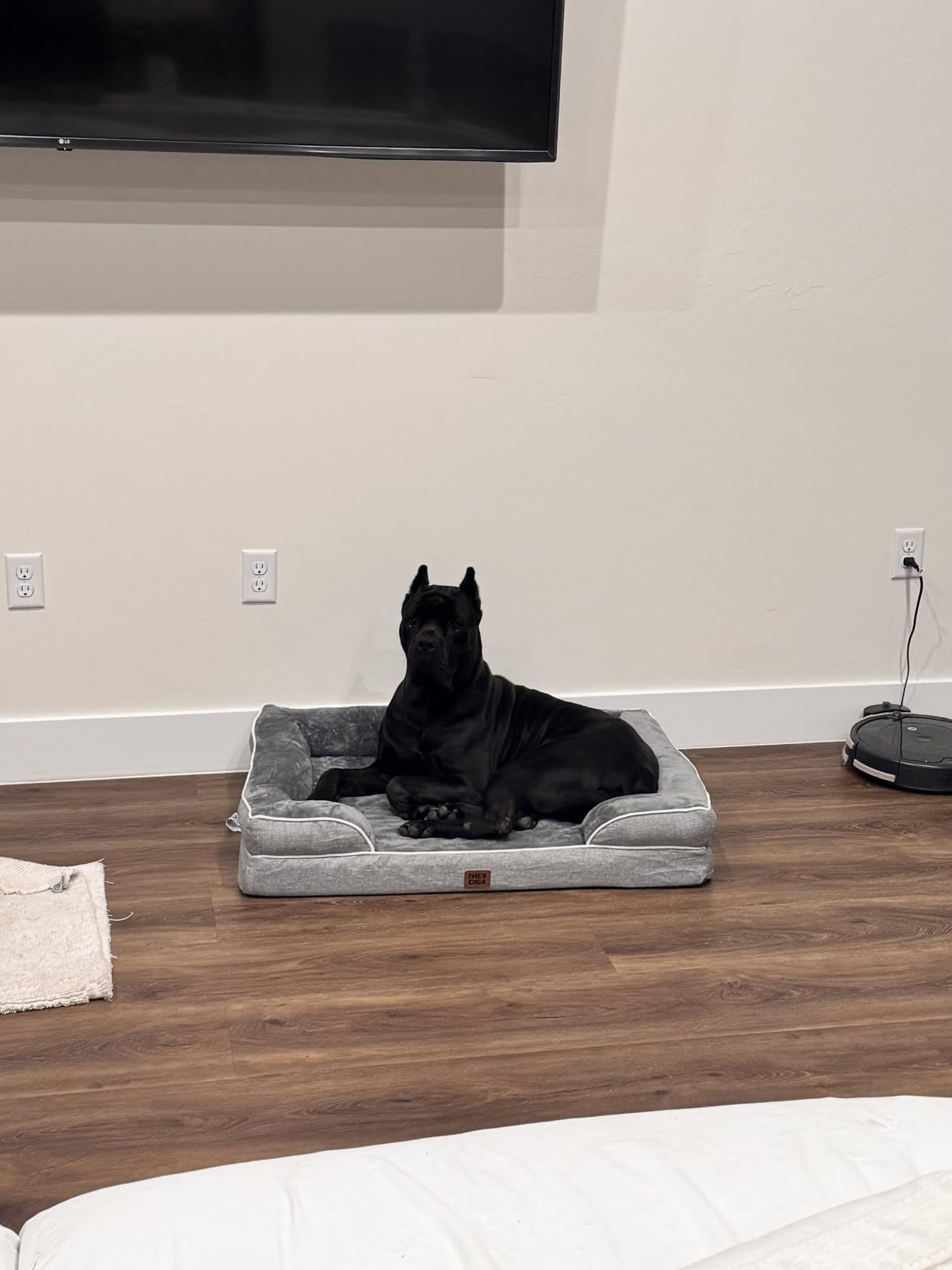 EHEYCIGA Orthopedic Dog Beds for Extra Large Dogs, Waterproof Memory Foam XL Dog Bed with Sides, Non-Slip Bottom and Egg-Crate Foam Big Pet Couch Bed with Washable Removable Cover, Camel | Non-Slip Bottom and Egg-Crate Memory Foam Big Dog Couch Bed with Washable Removable Cover, Camel, 44Inch customer photo 2