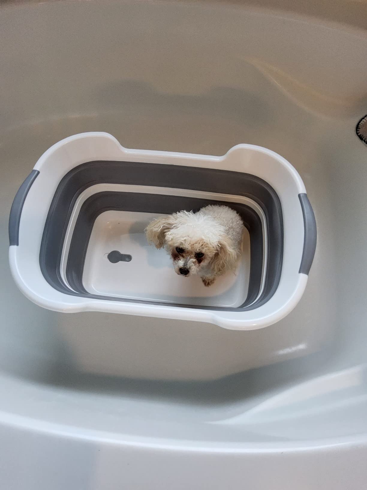 Collapsible Pet Bathtub with Water Drain Plug, Foldable Bathtub for Puppy Small Dogs Cats, Portable & Space Saving Design, BPA Free, Grey customer photo 2