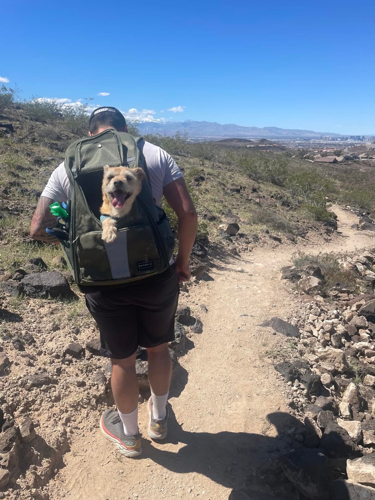 Petsfit Pet Dog Carrier Backpack with Upgraded Weight Reduction Design, Cat Dog Backpack with Large Ventilations, Easy-Fit for Traveling Hiking Camping for Small Medium Dogs and Cat, Green customer photo 1