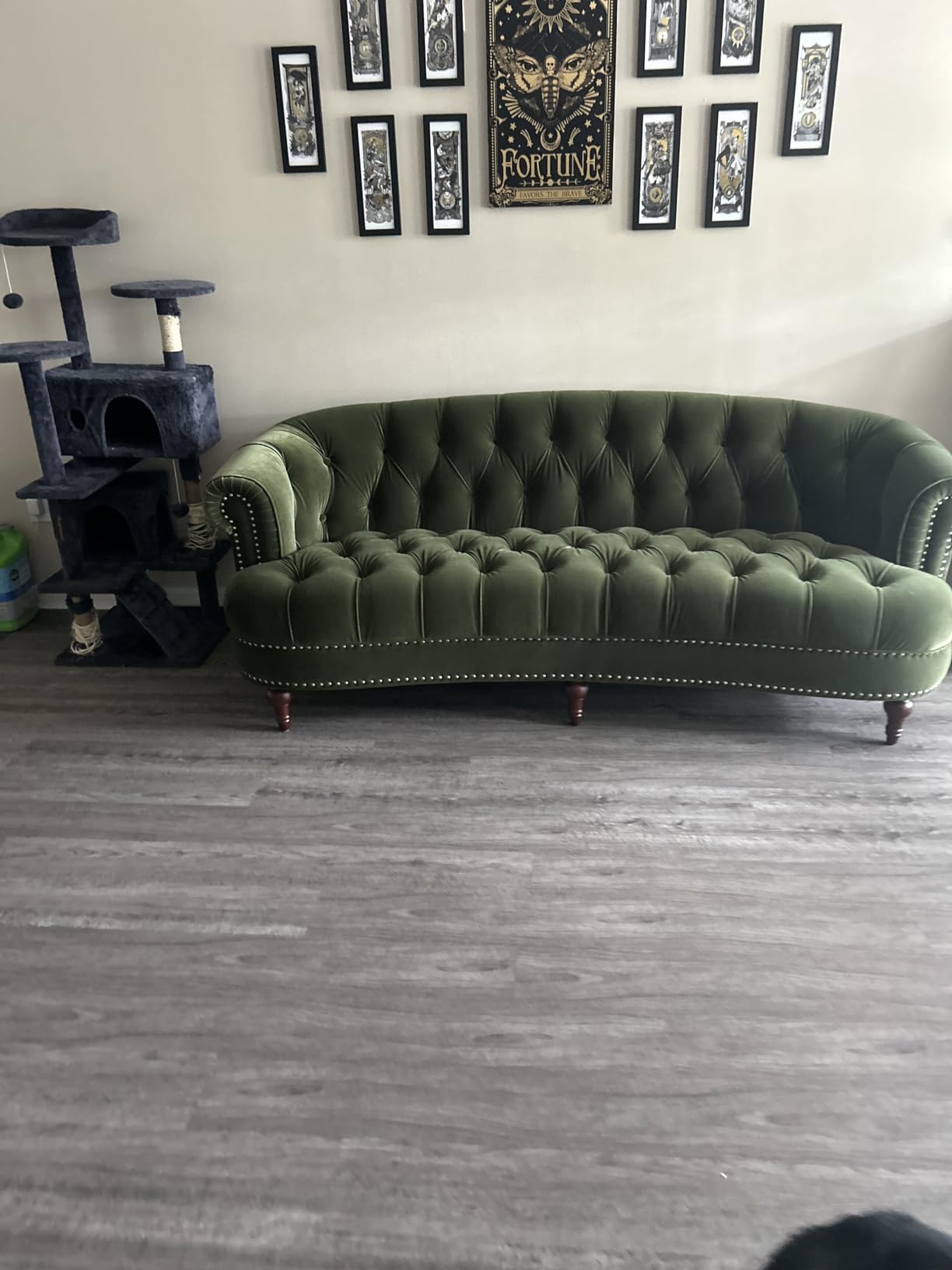 Jennifer Taylor Home La Rosa Victorian Chesterfield Tufted Sofa, Olive Green Performance Velvet customer photo 1