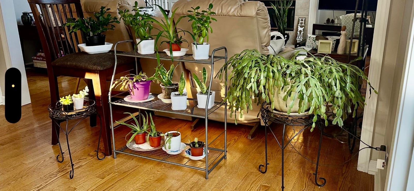 Simple Trending Plant Stand 5-Tier Plant Shelf for Indoor Outdoor, Waterproof Metal Tall Plant Stand for Living Room Bathroom Balcony Garden, Black customer photo 2