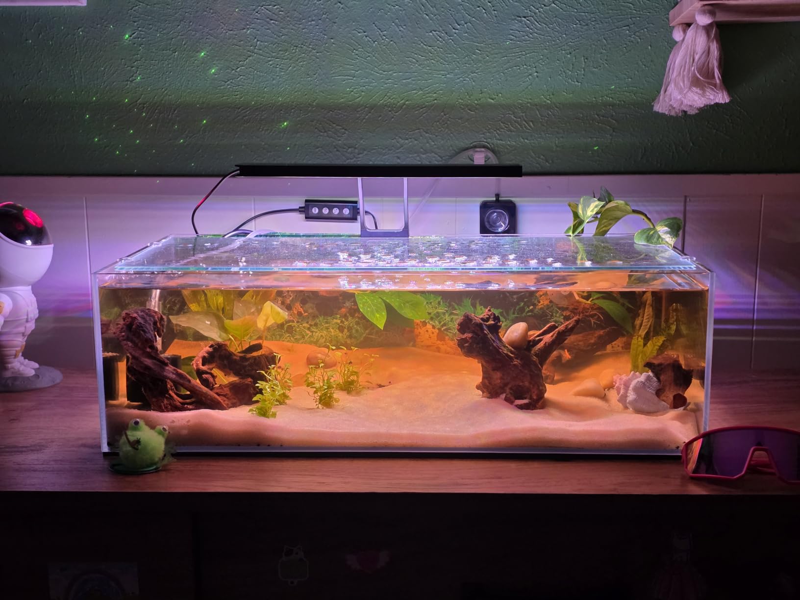 Landen Aquarium Cube 15.6 Gallon Ultra Clear Glass Rimless Fish Tank 40C customer photo 1
