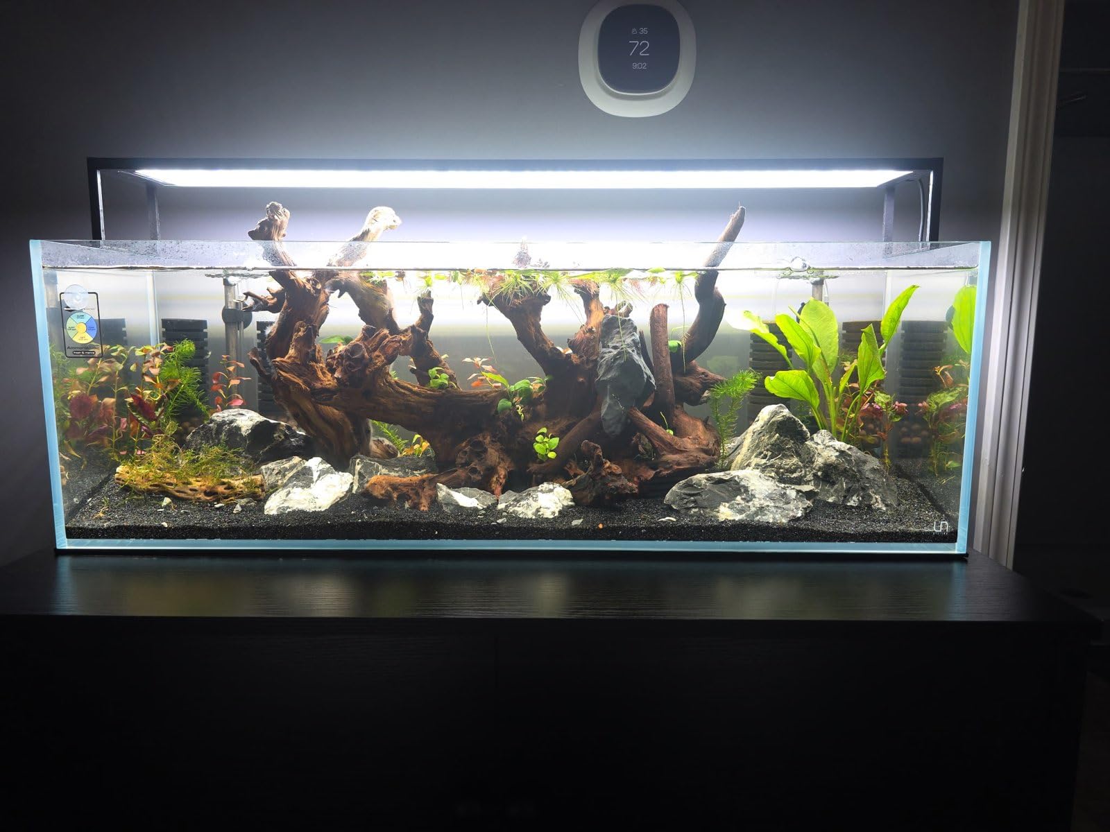 UNS Ultra Clear Rimless Tank - 11.8GAL | 45L - 35.43x7.87x9.84 | 90x20x25 CM, 6mm Glass Thickness, Leveling Mat Included - Low Iron, High Clarity Fish Tank w/ 45° Mitered Edge - [90B] customer photo 2