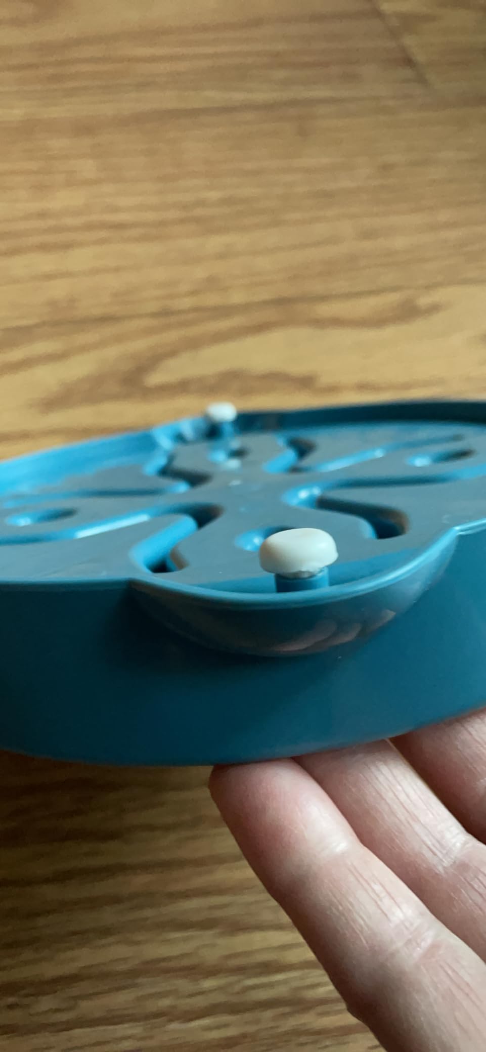 Slow Feeder Dog Bowls Small Breed, Dog Food Bowl Small Anti-Choking Bloat Stop Puzzle Healthy Eating Bowl (Blue, 1 Cup) customer photo 2